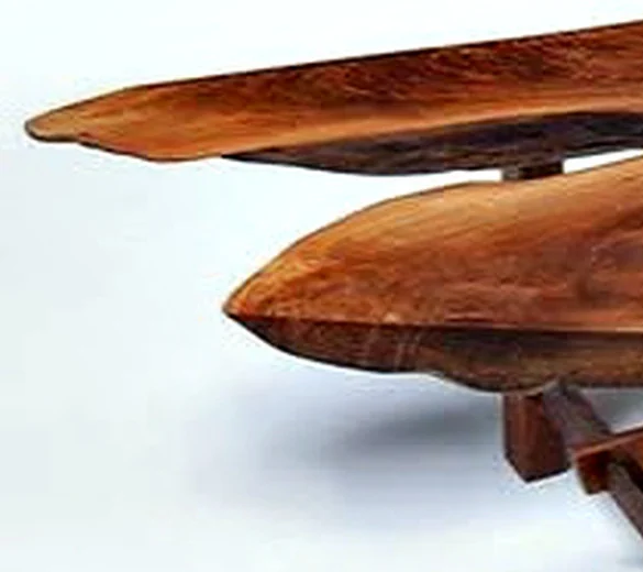 Black walnut, close