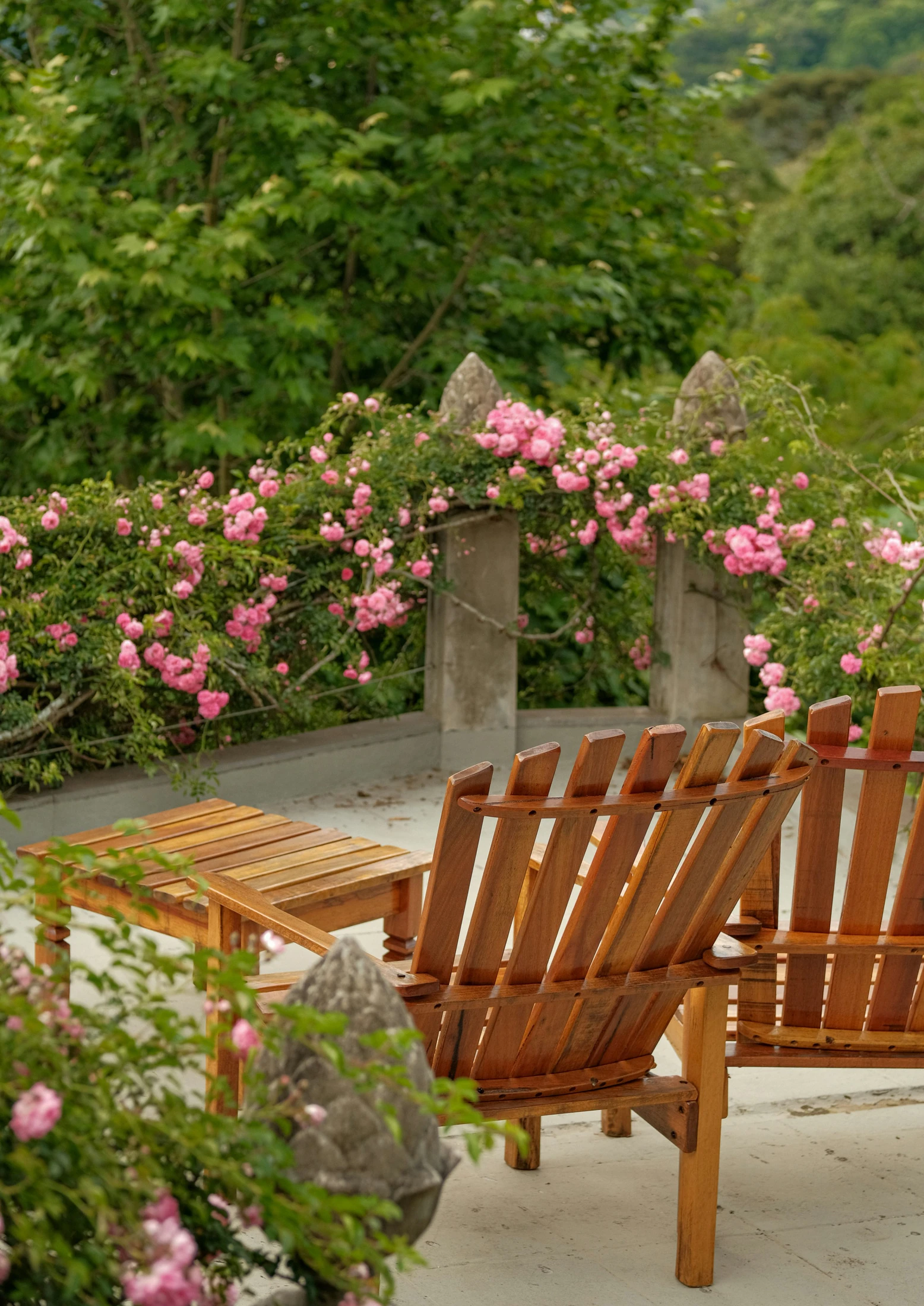 Deck Lounge Chairs